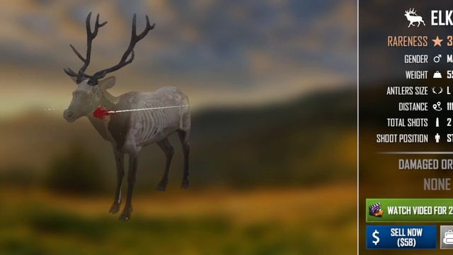 охота на телефон на 5 подписчиков расскажу какое название