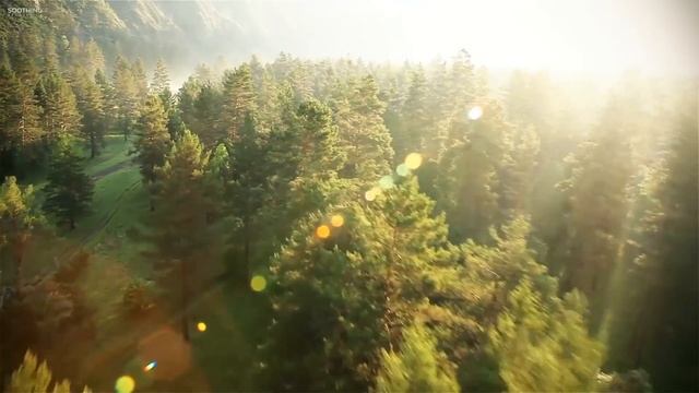 Расслабляющий фортепиано музыка: спокойная ветра Б. Педер Хелланн (официальное видео) смотреть онлайн