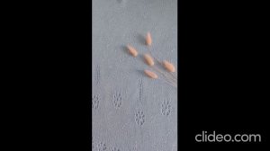 Блуза Эйфория