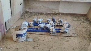 27.02.2025г Удовые Зухардина 👍