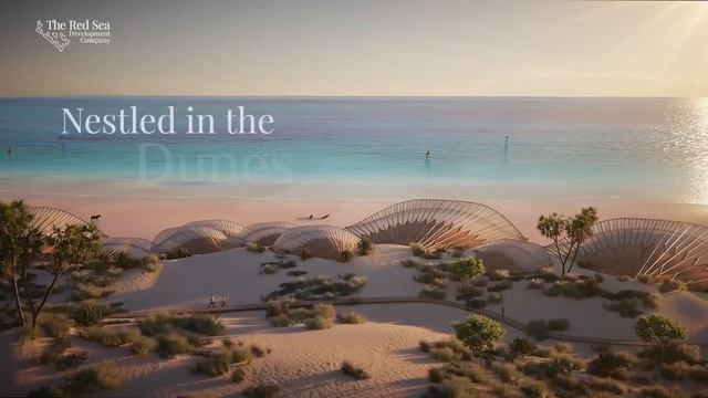 The Red Sea - KSA смотреть онлайн