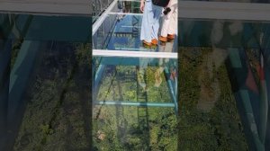 Парк Янода. Стеклянный мост. Санья.