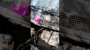 Антифриз в Peguot traveller Citroen spacetourer Opel zafira Пежо тревелер Ситроен спайстурер.