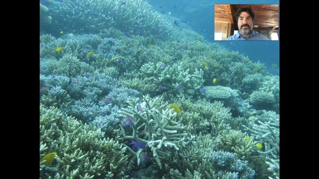 Marine Biology at Home 8: Medicines from the Sea смотреть онлайн