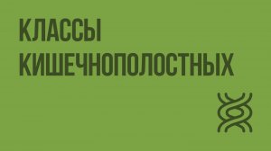 Классы кишечнополостных. Видеоурок по биологии 7 класс