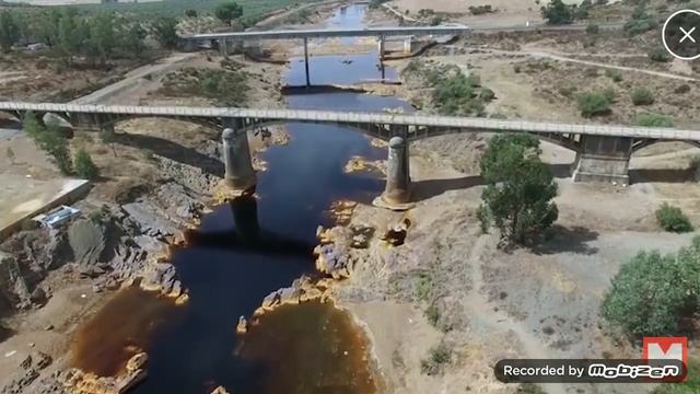 10. Самых опасных водоемов и 10 агромных монстров которые могли попедить кинконга смотреть онлайн