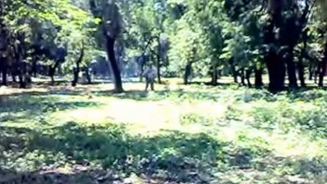 Уборка парка нашего поселка смотреть онлайн