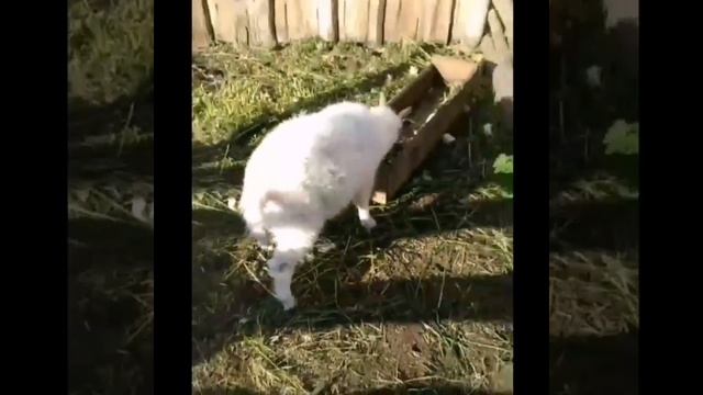 Как попасть в реки тик тока смотреть онлайн