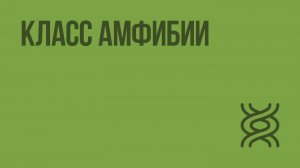 Класс Амфибии. Видеоурок по биологии 7 класс