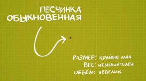 Флеш, Боб достиг скорости звука