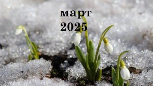 Таро прогноз на март 2025