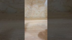 Не прошло и недели а уже новая коллекционная банка (и не только)🥤