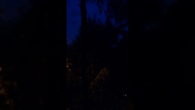 Ночное пение птиц в московском дворе после урагана. 30 мая 2017 г. смотреть онлайн