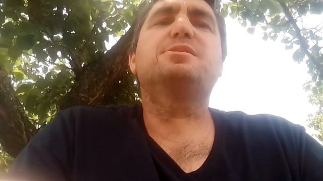 індивідуальні номери. Розповідаю процес замовлення та скільки коштують. які умови потрібно. смотреть онлайн