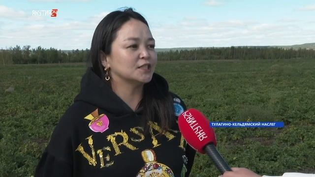 Рекордный урожай картофеля получили в этом году якутские фермеры смотреть онлайн