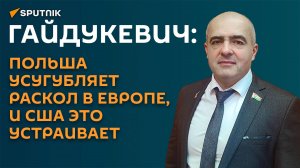 Гайдукевич: Путин обсудит с Трампом милитаризацию Польши и стран Балтии