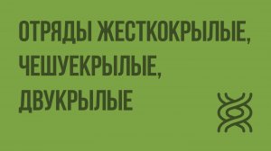 Отряды Жесткокрылые, Чешуекрылые, Двукрылые. Видеоурок по биологии 7 класс