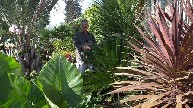 Extreme Zone Pushing Part 6 Sago Palm смотреть онлайн