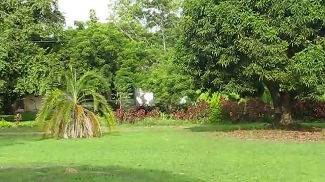 Hospital Village Panorama смотреть онлайн