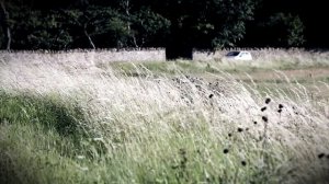 Tylko on wie, gdzie jest ciało Anny | NIEDIEGETYCZNE