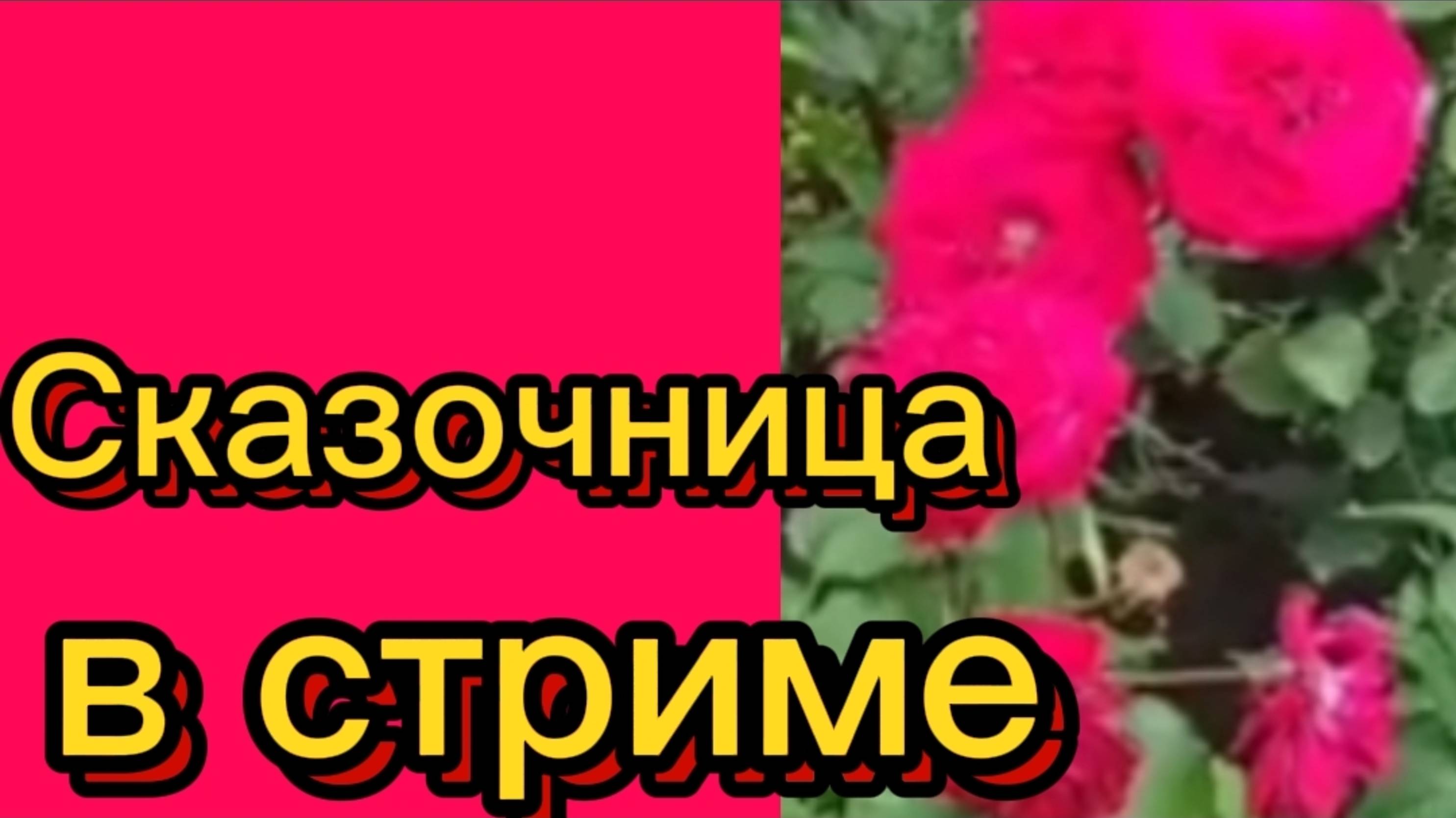 ДЕРЕВЕНСКИЙ ДНЕВНИК. "Сказочница в стриме"