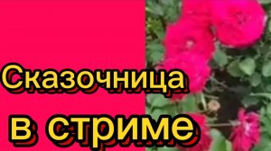 ДЕРЕВЕНСКИЙ ДНЕВНИК. "Сказочница в стриме"