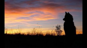 Колоссальная серия пердков и отрыжек от ОЗВ
