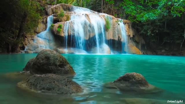 разлобляющии звуки звуки леса, звуки рек, медедация, расслабление, звуки. #рекомендации смотреть онлайн