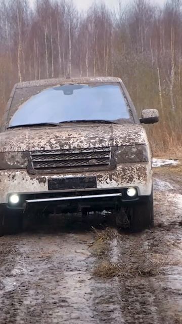 Михеев и Павлов, спасибо за жизу😂#rangerover #ренджровер #михеевипавлов #shorts #черныйрусский