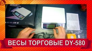 Весы торговые DY-580 Мини. Распаковка. Подсчет цены и количества. От сети и батареек