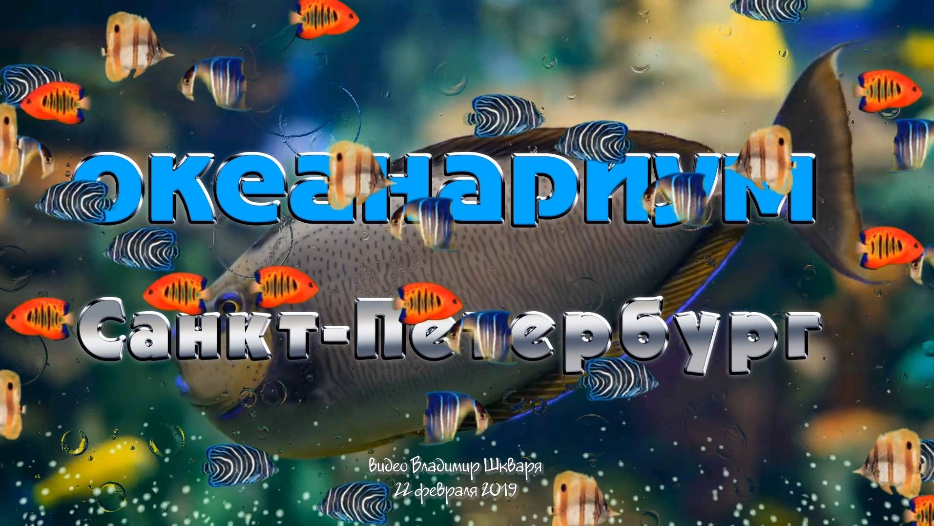 ОКЕАНАРИУМ. Санкт - Петербург. смотреть онлайн