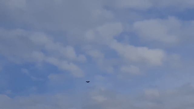 Полеты 30.31 января смотреть онлайн