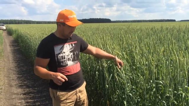 ТОО Сервис Жарс, СКО, агроном Маутов Е. 2016 год, высокая эффективность Иншур Перформ, Абакус смотреть онлайн