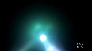 Подводная охота ночью. Медузы. Израиль