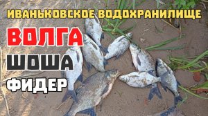 Рыбалка на фидер. Хороший Подлещик на Московском море. Июль 2024 года.