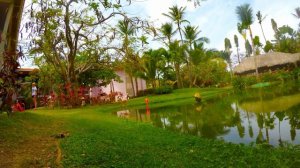 Доминикана 2017 (2) NaturaPark Relax Фламинги (Натура парк) 4К