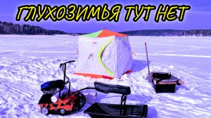 РЫБАЛКА с НОЧЁВКОЙ:Поклёвки Одна за Одной,Поставил Жерлицы,Готовлю в Чудо-Печке,Отогреваю Собачку.