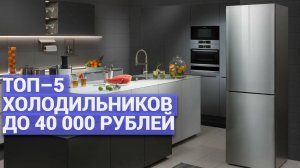 Топовые холодильники до 40000 рублей: рейтинг лучших моделей!