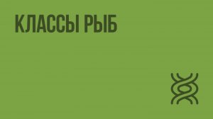 Классы рыб. Видеоурок по биологии 7 класс