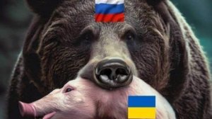 🔴Стадо пленных укрофашистов🔴