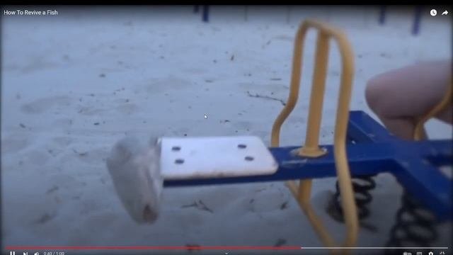 КАК ОЖИВИТЬ РЫБУ реакция на HowToBasic