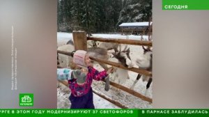 Работают волшебниками