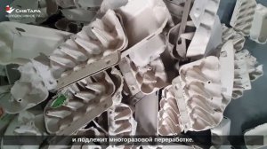 Почему наш контейнер под яйцо считается экологичным и в чём же его основные преимущества?