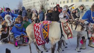 XXIX Открытые традиционные соревнования оленеводов на Кубок Губернатора Ямало Ненецкого автономного