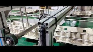 Процесс изготовления контейнера под яйцо
