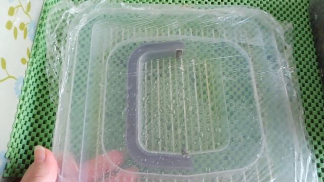 ЕЖЕДНЕВНАЯ УБОРКА В ТЕРРАРИУМЕ УЛИТОК ( МАРИ МИСТИК ) ПРОДАЖА УЛИТОК смотреть онлайн