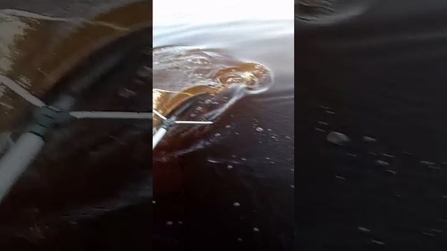 Щука 7кг смотреть онлайн