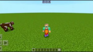 сигма паукан 2024 год автор(titwow)