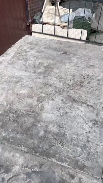 Печатный бетон до и после лакировки #tiktok #youtube #top ##жиза смотреть онлайн