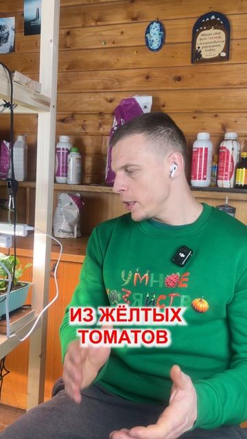МОЙ ТОП НАИВКУСНЕЙШИХ ТОМАТОВ